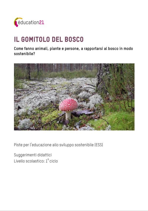 Il gomitolo del bosco C1
